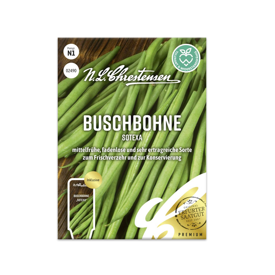 S Buschbohne 'Sotexa'