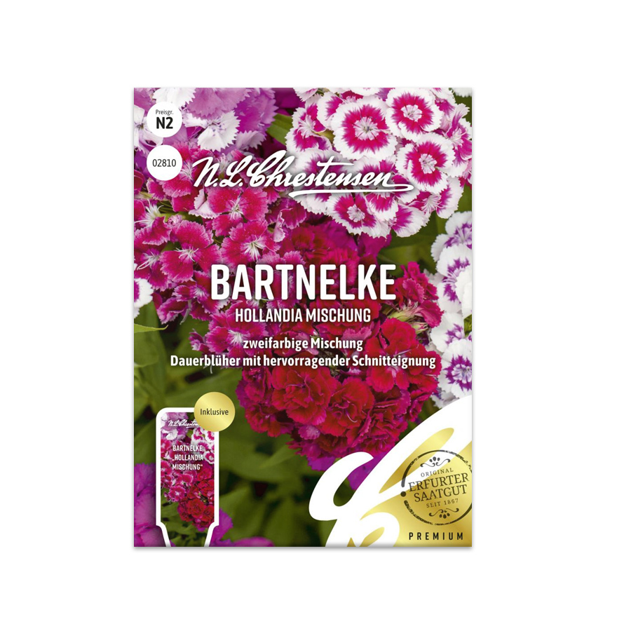 S Bartnelke 'Hollandia Mischung'