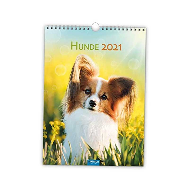 Kalender Wand  Hunde