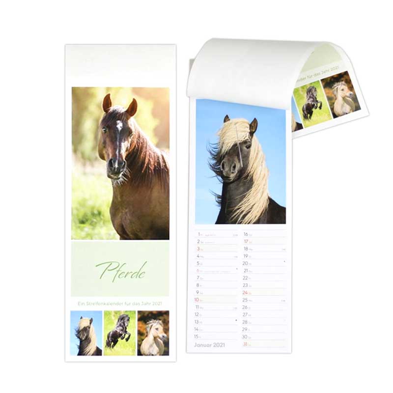 Kalender Postkarte Pferde 12x34cm H&B