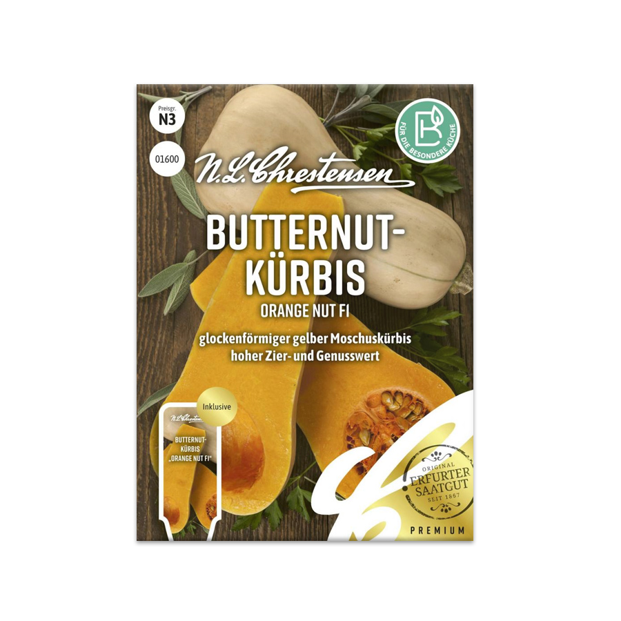 S Butternutkürbis 'Orange Nut F1'