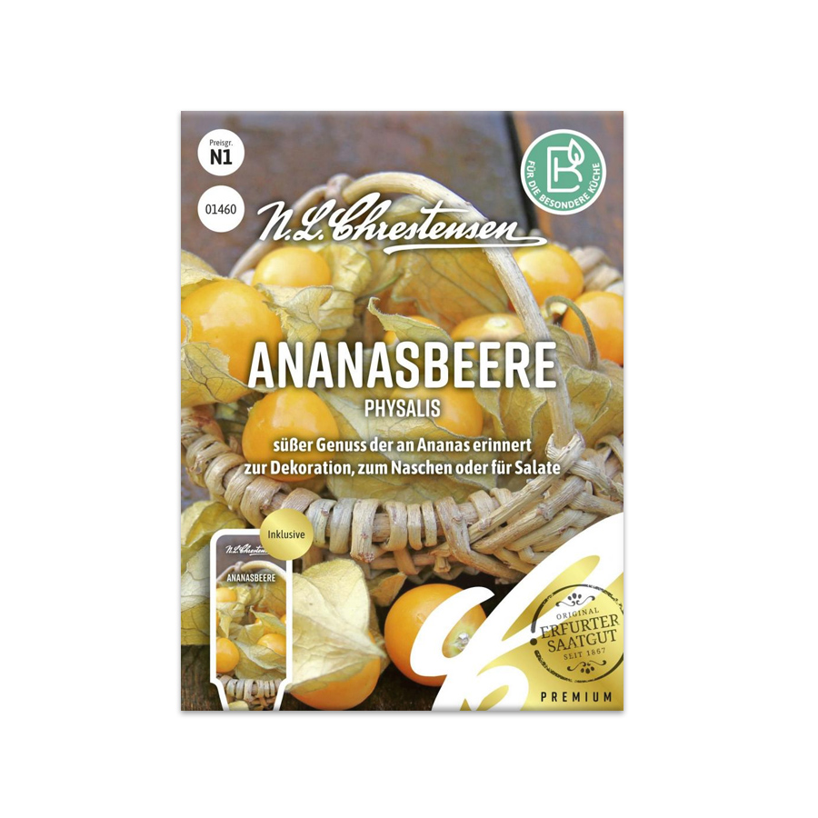 S Ananasbeere 'Physalis'