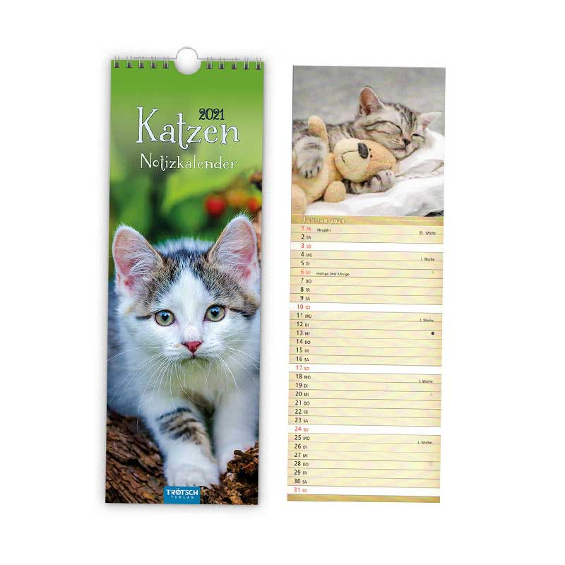 Kalender Wand Katzen Streifen