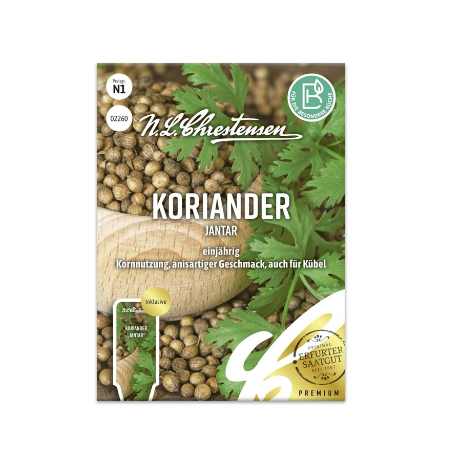 S Koriander 'Jantar'