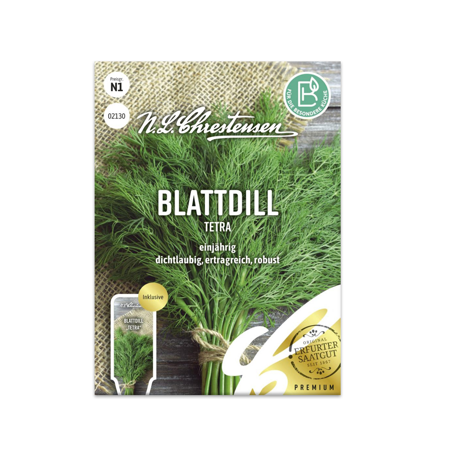 S Blattdill 'Tetra'