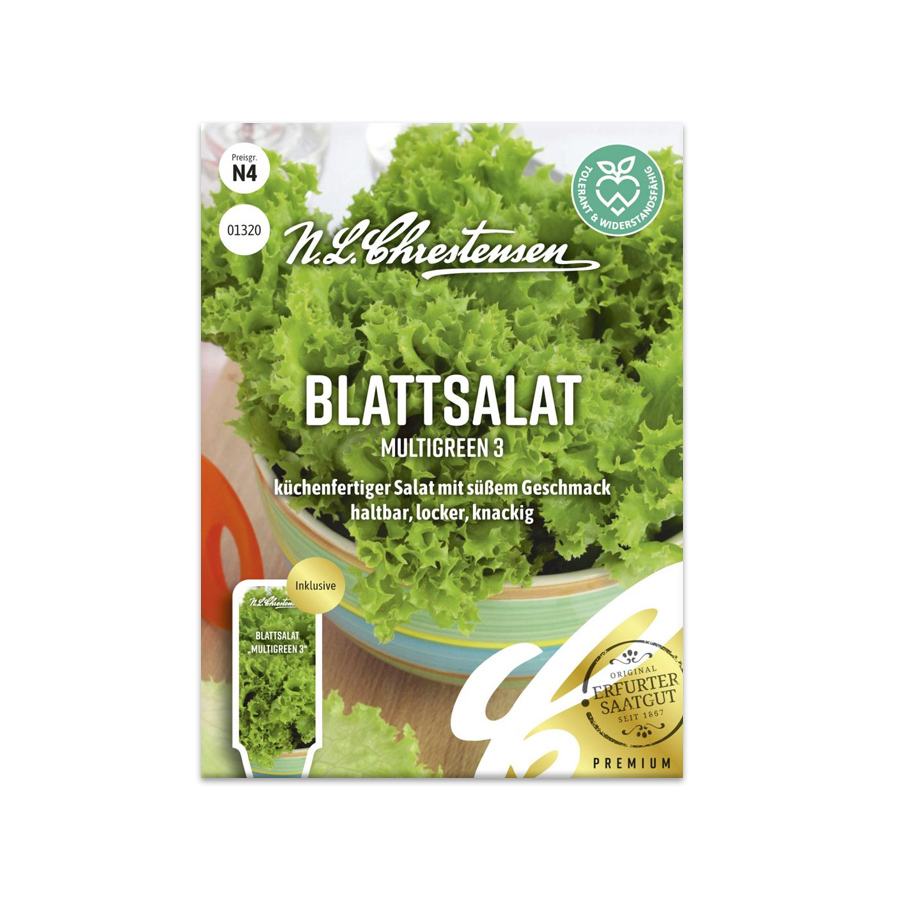 S Blattsalat 'Multigreen 3'