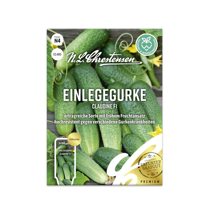 S Einlegegurke 'Claudine F1'