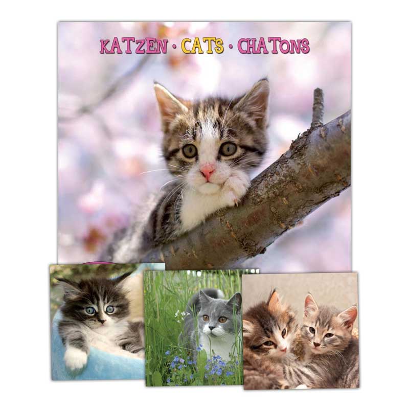 Kalender Broschüre Katzen 30x60cm H&B