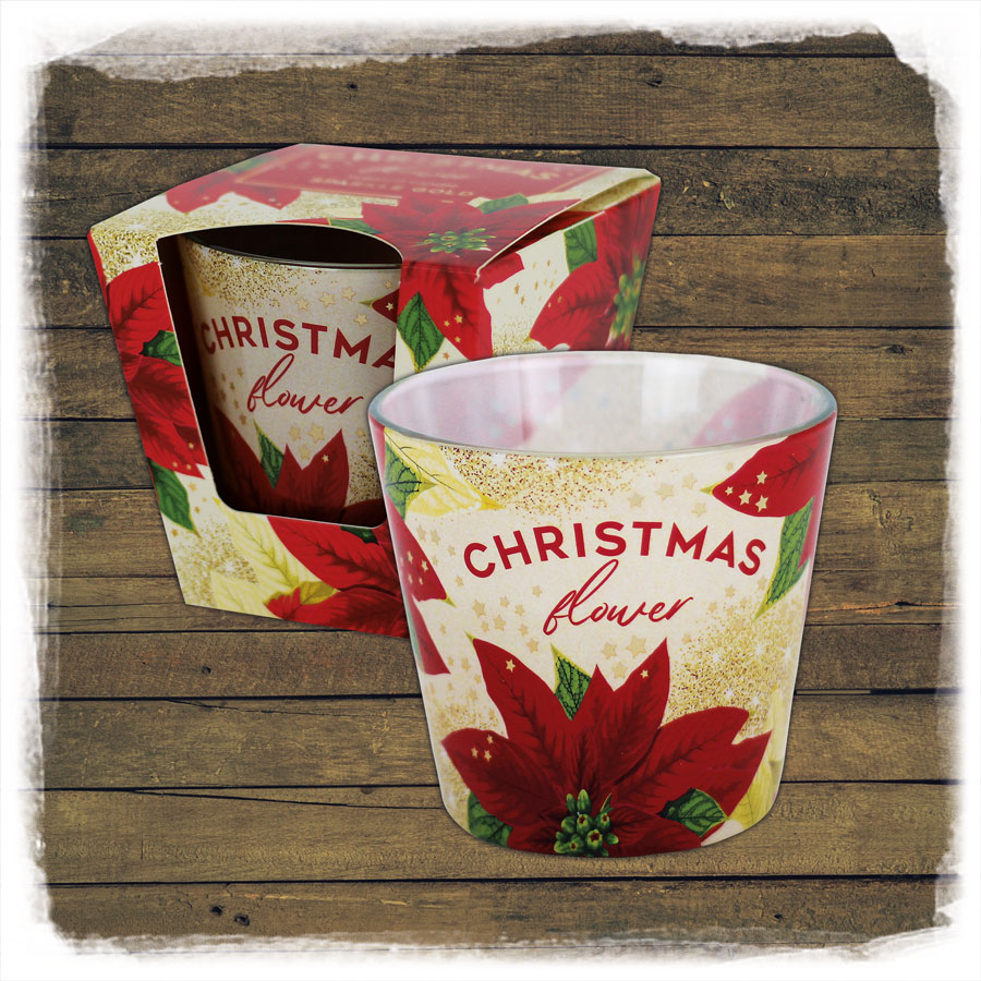 Duftkerze Glas Christmas Flower EWA