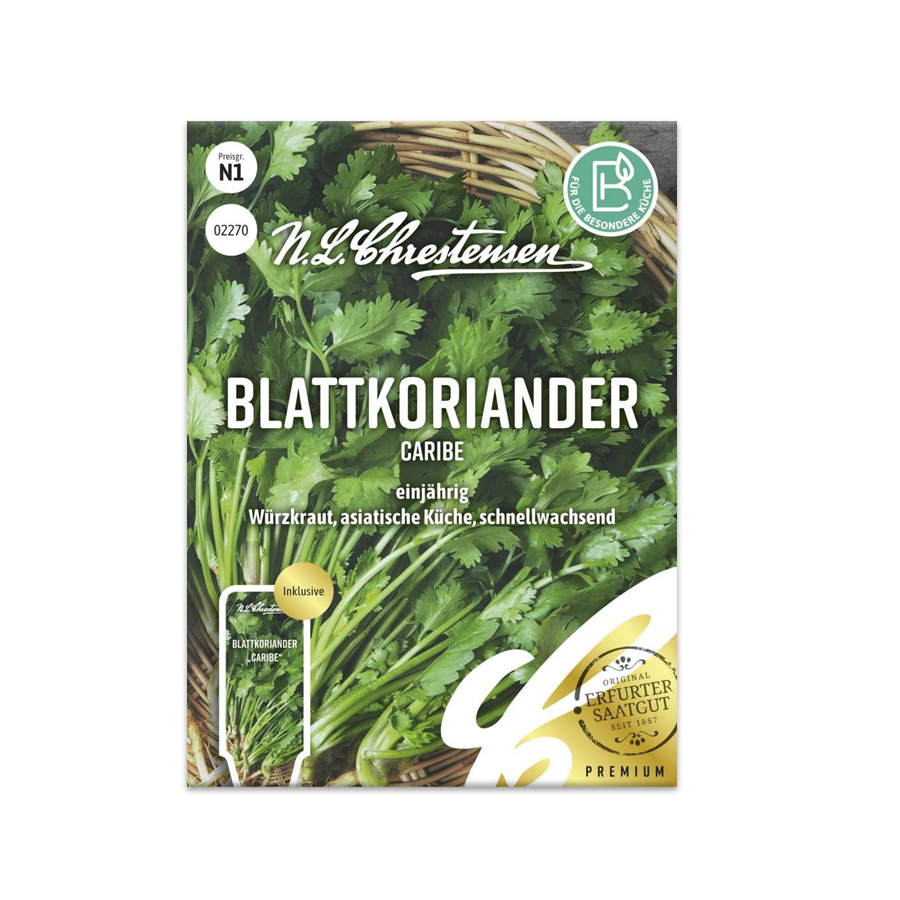 S Blattkoriander 'Caribe'