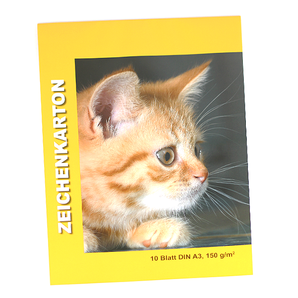 Zeichenkartonblock A3 10 Bl. 150g