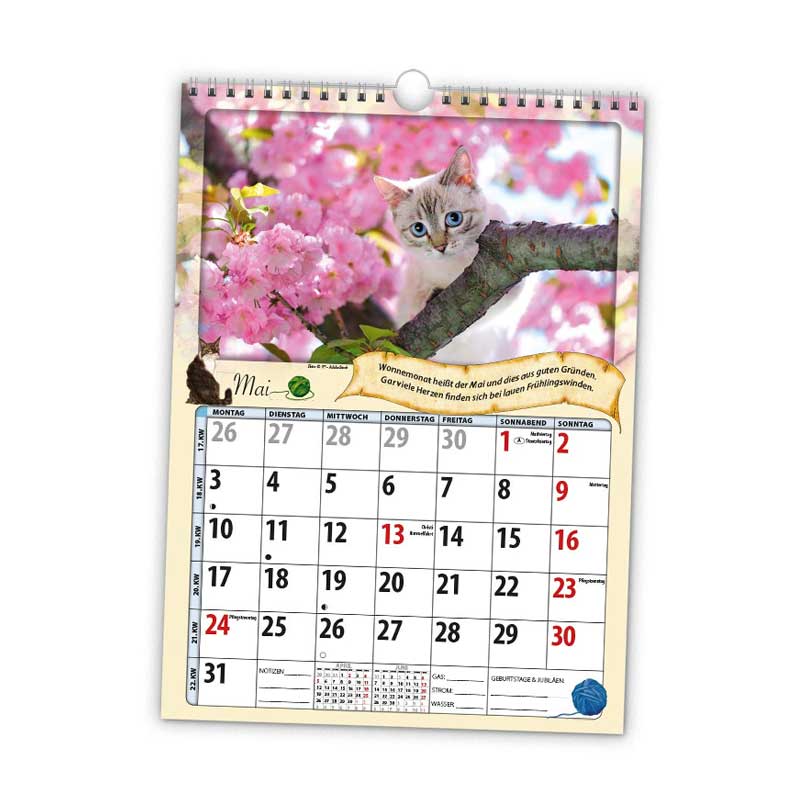 Kalender Wand Rentnerkalender