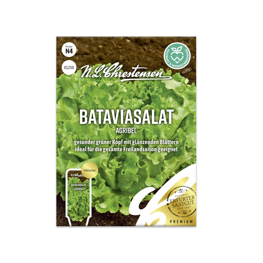 S Bataviasalat 'Agribel'