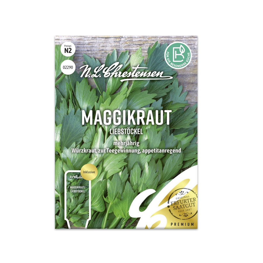 S Maggikraut 'Liebstöckel'