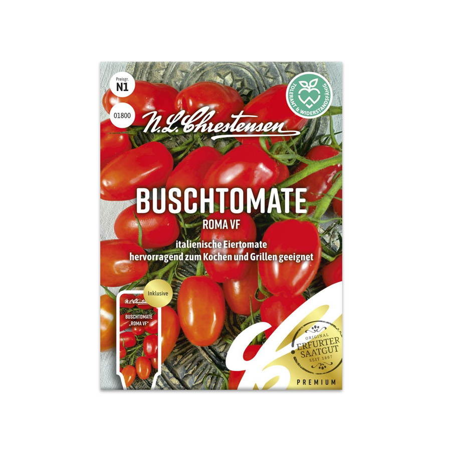 S Buschtomate 'Roma VF'