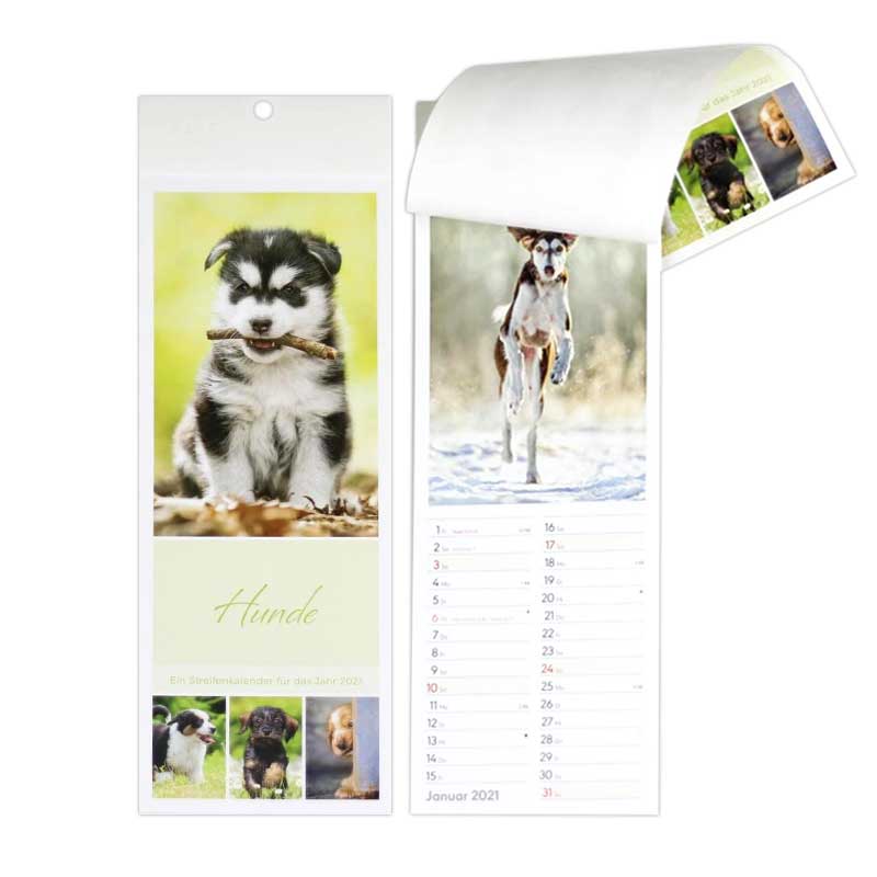 Kalender Postkarte Hunde 12x34cm H&B