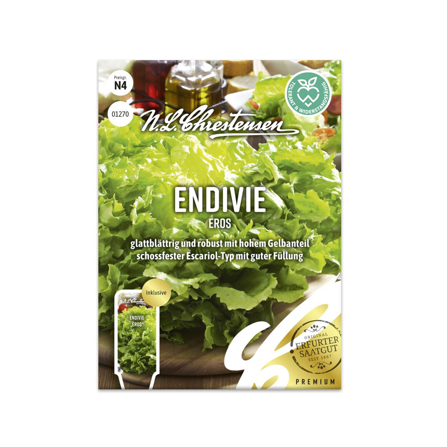 S Endivie 'Eros'