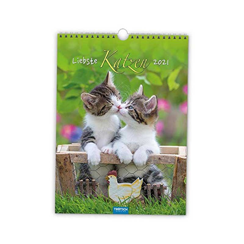 Kalender Wand  Liebste Katzen