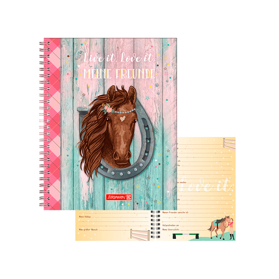 Freundebuch Ponylove 
