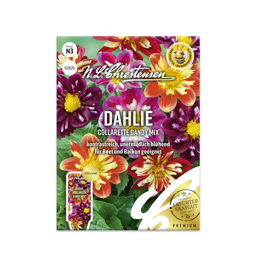 S Dahlie 'Collarette Dandy Mix'