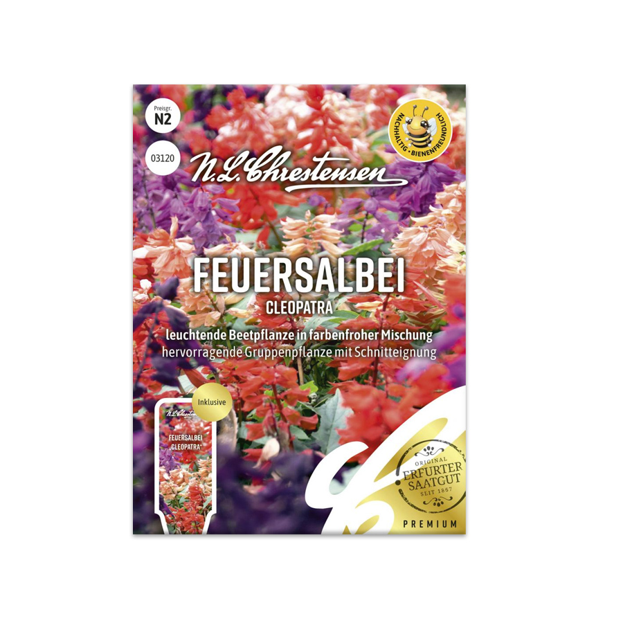 S Feuersalbei 'Cleopatra'