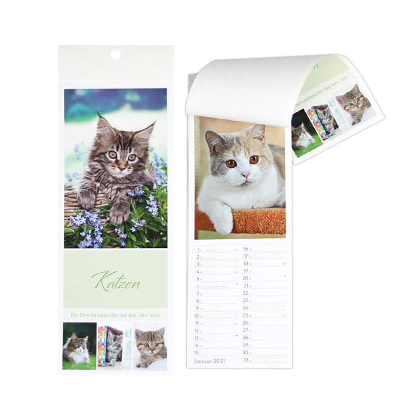 Kalender Postkarte Katzen 12x34cm H&B