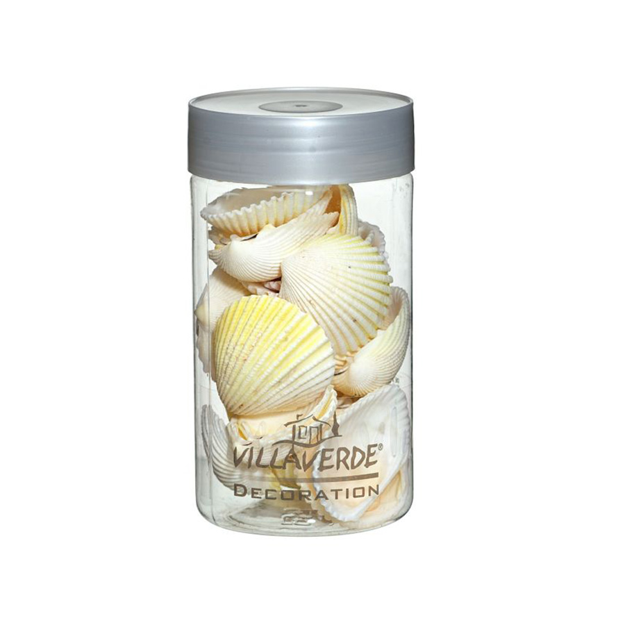 Muschel BEACH SUMMER weiß 200g/Dose