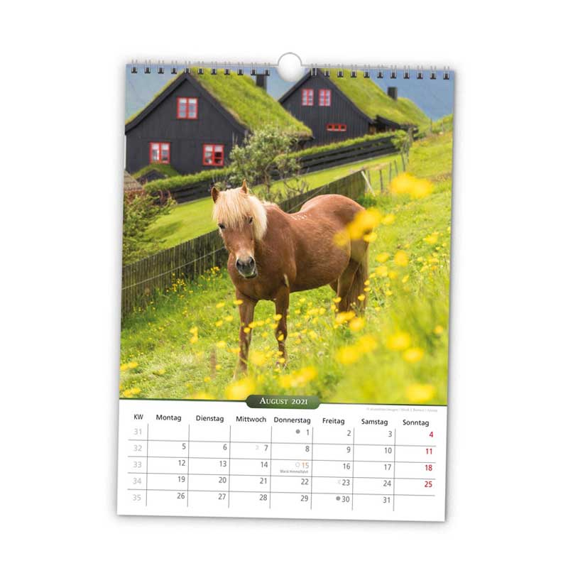Kalender Wand  Pferde