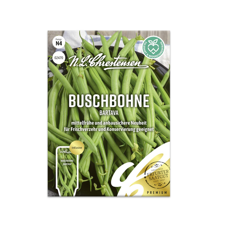 S Buschbohne 'Bartava'