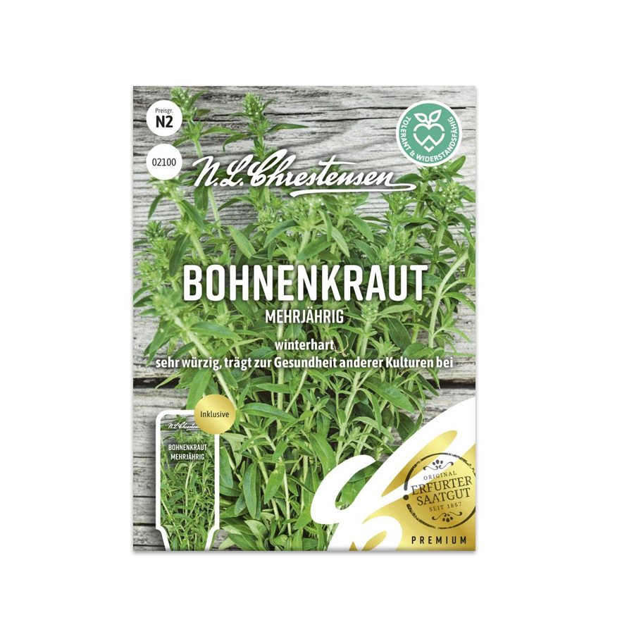 S Bohnenkraut 'Mehrjährig'