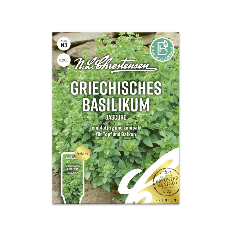 S Griechisches Basilikum 'Bascuro'