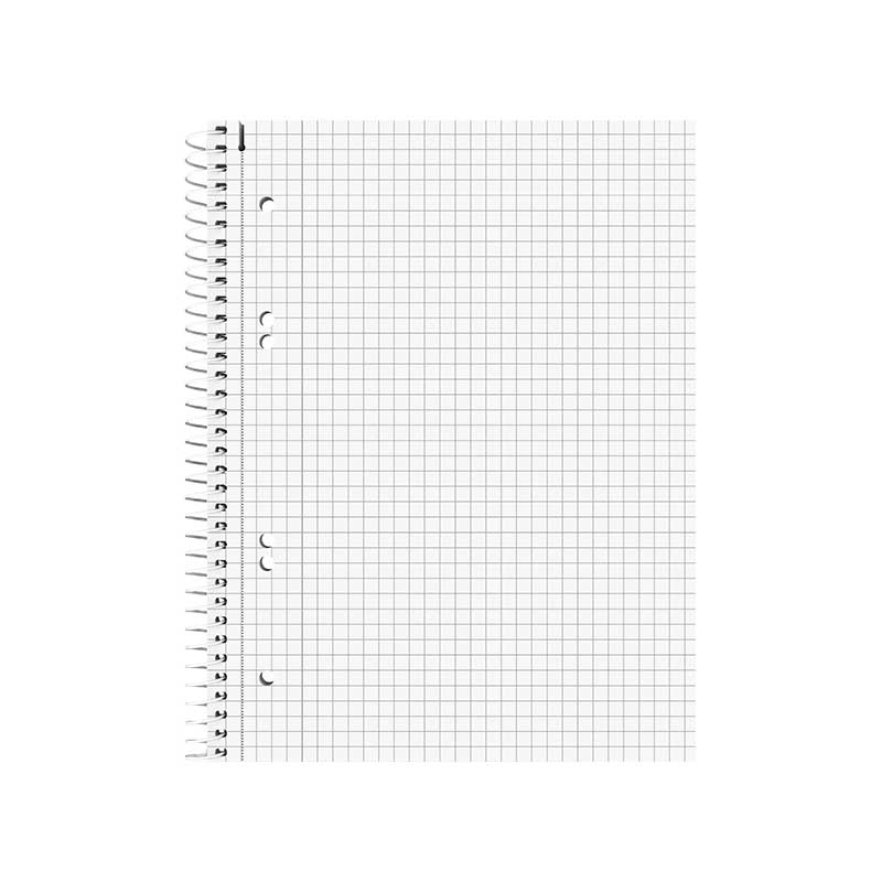 Collegebock A5 kariert  Premium  Brunnen