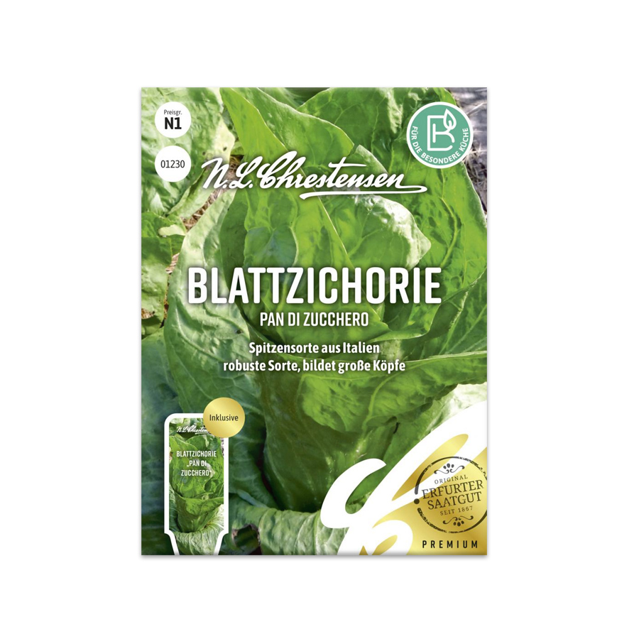 S Blattzichorie 'Pan di zucchero'