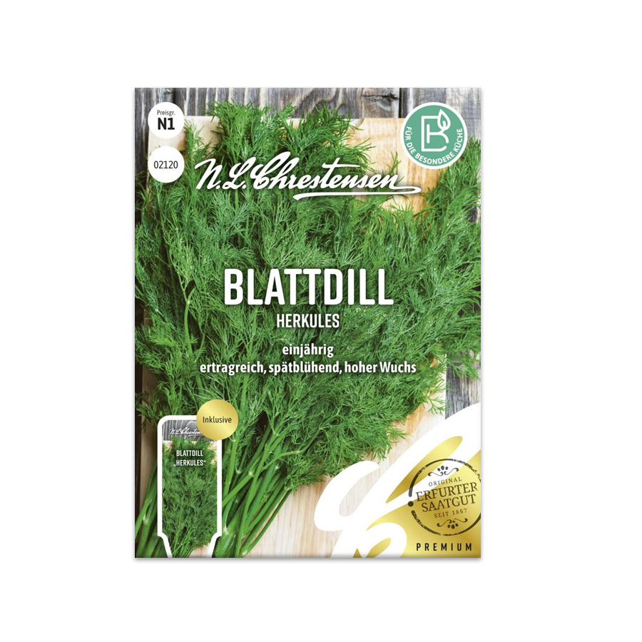 S Blattdill 'Herkules'
